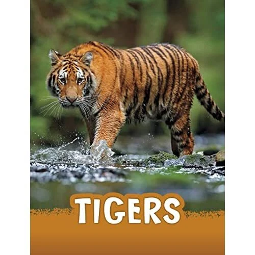 TIGERS (ANIMALS) Hardback NEW Jaycox, Jaclyn 15/09/2022 EUR 18,88