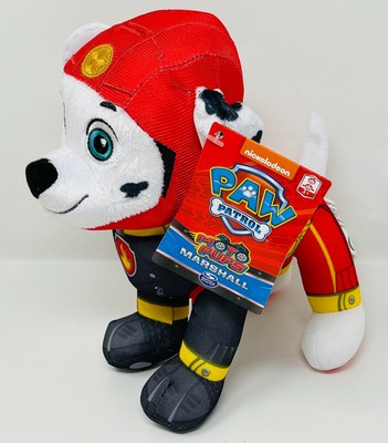 moto pups marshall