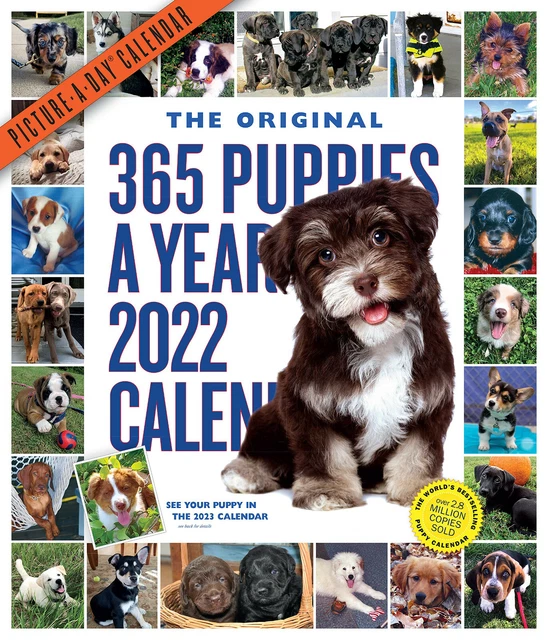 WORKMAN 365 PUPPIESAYEAR PictureADay Wall Calendar 2022 w 4.25