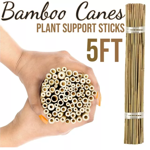 5FT Bamboo Garden Canes Strong Natural Thick Quality Stakes Plant Support Stick