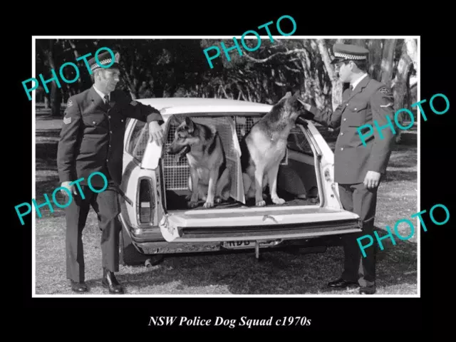 OLD POSTCARD SIZE PHOTO OF NEW SOUTH WALES POLICE DOG SQUAD c1970