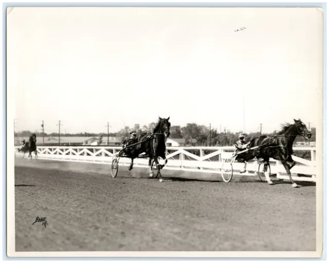 Harness Racing Santa Margarita Brown Stockton 1937 B&W Photo 8 X 10  e1-45