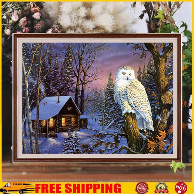 2 Set Owl Latch Hook Kit DIY Pillow Cover Needlework Craft Home Decor Gift