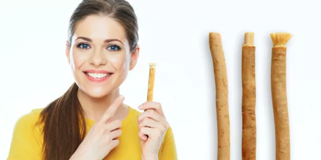 One packs of 20 sticks Siwak  Miswak Bâton de l´arak + 2 free Bâton 2