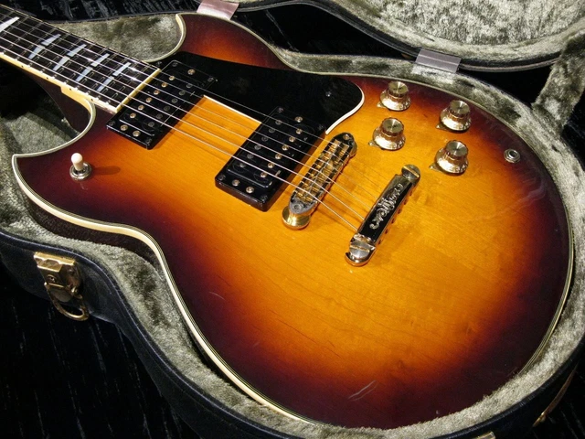 Yamaha best sale sg case