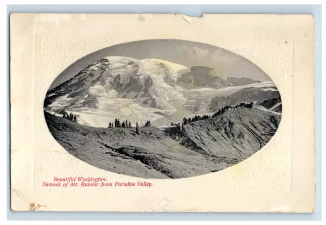 1900-10 Beautiful Washinton Mt Rainier Paradise Valley Vintage Postcard F28E