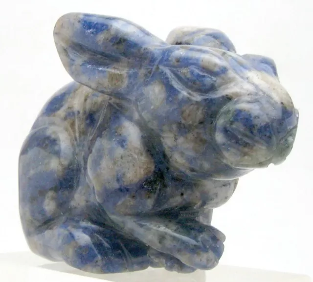 RABBIT BUNNY SODALITE LAPIS Animal Carving Figurine Gemstone Crystal Healing 3