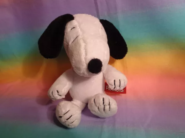 Peanuts Be My Valentine Snoopy Mini Plush Toy