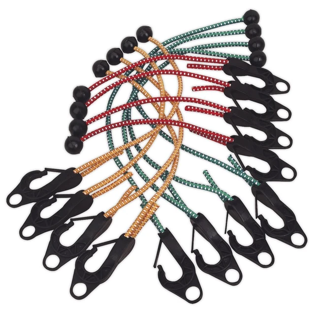 Sealey TARP12 Assortis Bâche Cordon Ensemble 12pc