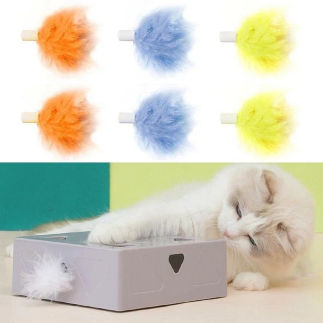 Jouet de chat Boîte magique de chat Jouet de plume de chat Tête de remplacement