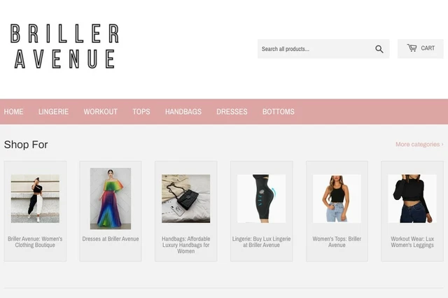Lingerie Luxury Fashion Store Dropshipping Pre-Listed Turnkey  SEO Integrated