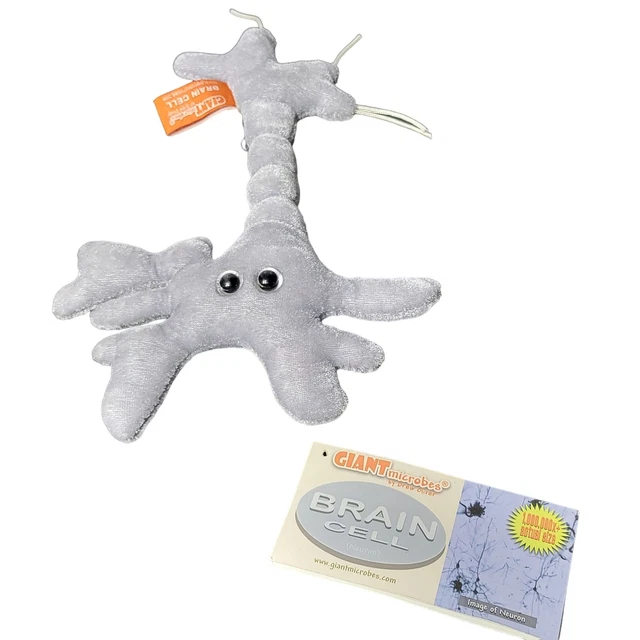 GIANT MICROBES BY Drew Oliver Brain Cell Plush Educational Stuffed