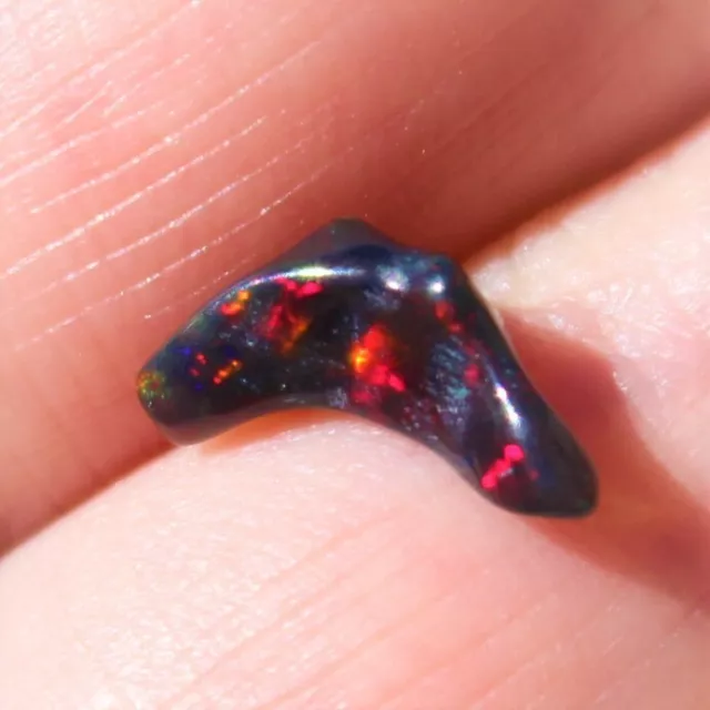 Opale de Feu Brute Noire à Multicolore d'Ethiopie de 0,700 ct