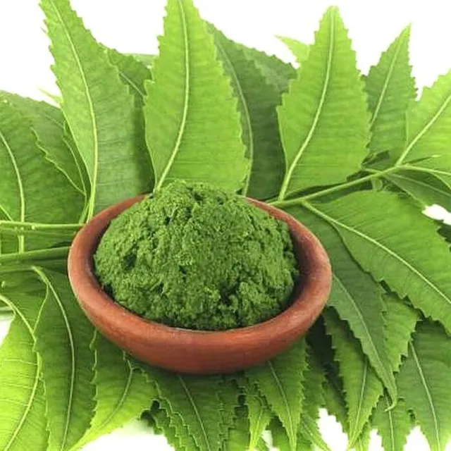 Neem Powder Dried Leaves Pure & Natural Raw Vegan (Azadirachta indica) Organic