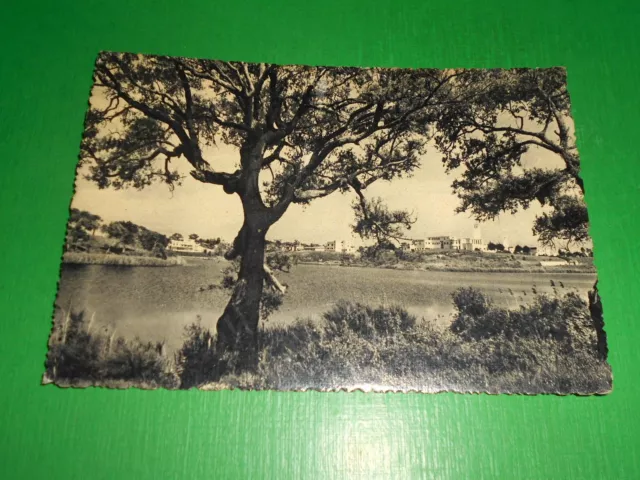 Cartolina Sabaudia - Lago Sciale - Ospedale 1951