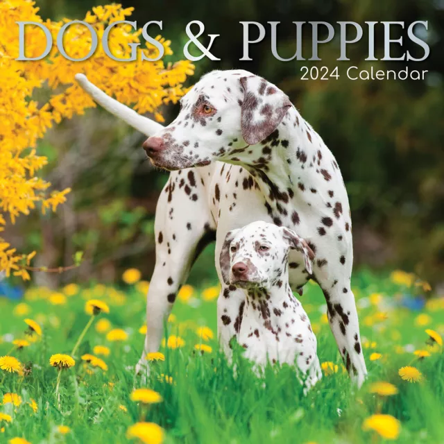 DOGS & PUPPIES 2024 Square Wall Calendar Pets Animals 16 Month