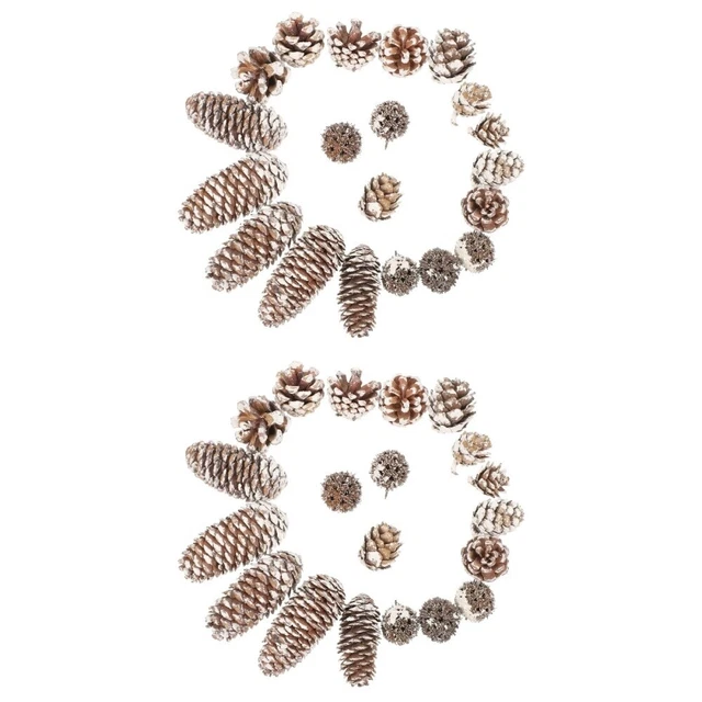 2x Tannenzapfen in loser Schüttung Weihnachten Pine Cone Decor diy material