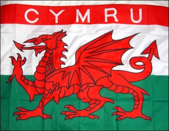 CYMRU WALES 18" X 12" FLAG boats treehouses caravans clubs WELSH SWANSEA CARDIFF