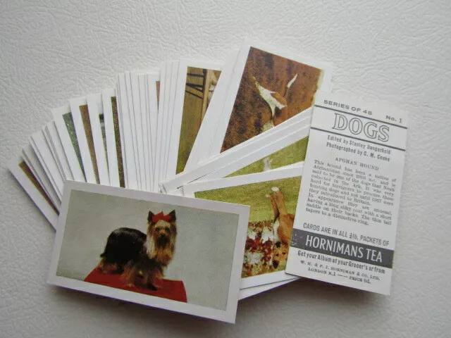 Hornimans Tea 1961 Dogs Tea-Cards Card Variants (e7)