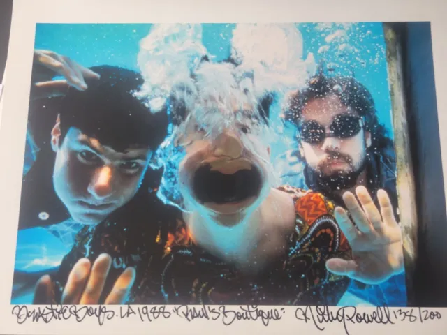 Ricky powell Beastie Boys Signed Print