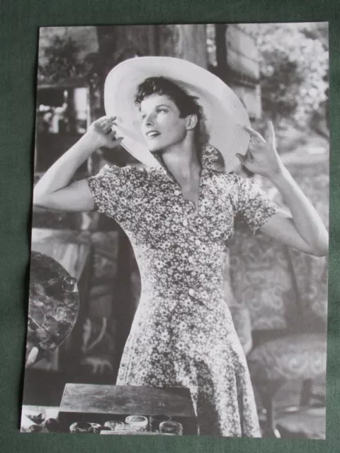 Katharine Hepburn  Film Star - 1 Page Picture - Clipping / Cutting