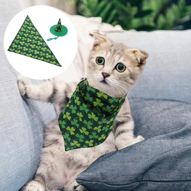 Collari per animali domestici bandana per gatti animale domestico cappello costume da strega accessori