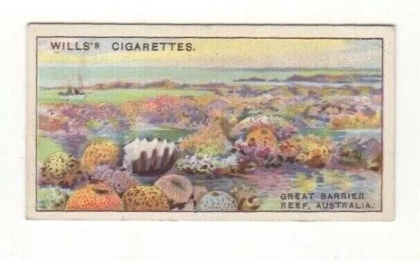 1928 Wills Wonders of the Sea #39. Great Barrier Reef, Australia