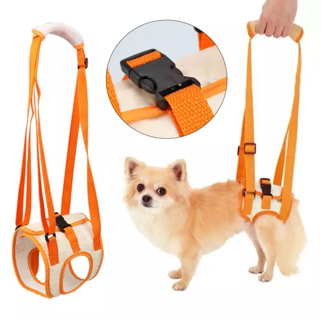 Oxford gilet posteriore gamba animale domestico assistenza tiraggio E E