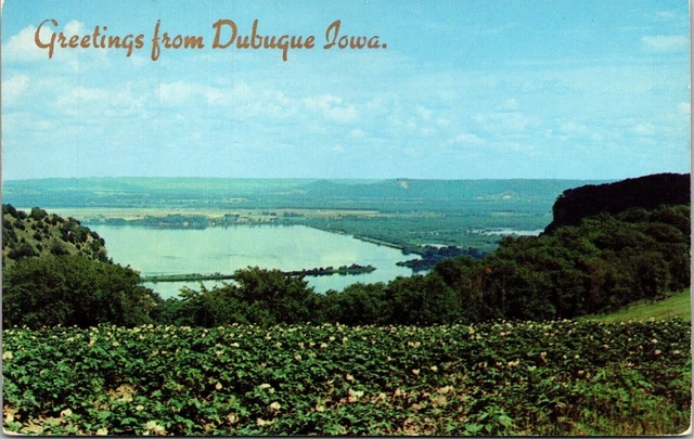 Greetings From Dubuque Iowa IA Pool Mississippi River Postcard VTG UNP Dexter