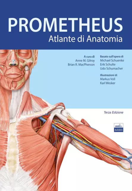 Atlante di anatomia: 9788843324309: Parramon: Books 