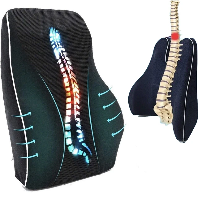 Cojín de apoyo lumbar de espuma viscoelástica Harley sofá asiento trasero soporte para el dolor