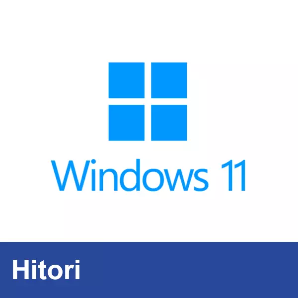 Microsoft Windows 11 Pro Professional 64 Bit OEM Produktschlüssel / ESD