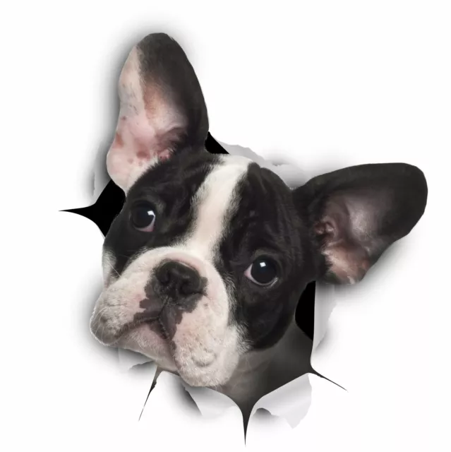 New! 3D Dog Stickers - 2 Pack - Black and White French Bulldog Stickers for Wall