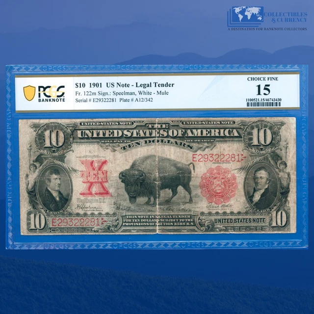 Fr.122m 1901 $10 Ten Dollars Bill MULE "BISON" Legal Tender Note, PCGS 15 #22281