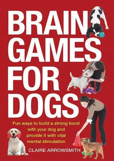 Gehirnspiele für Hunde: Lustige Möglichkeiten, eine starke Bindung zu Ihrem Hund aufzubauen und bereitzustellen