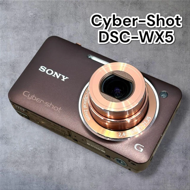 EXCELLENT] SONY CYBER Shot DSC-WX100 Brown 18.2MP Compact Digital