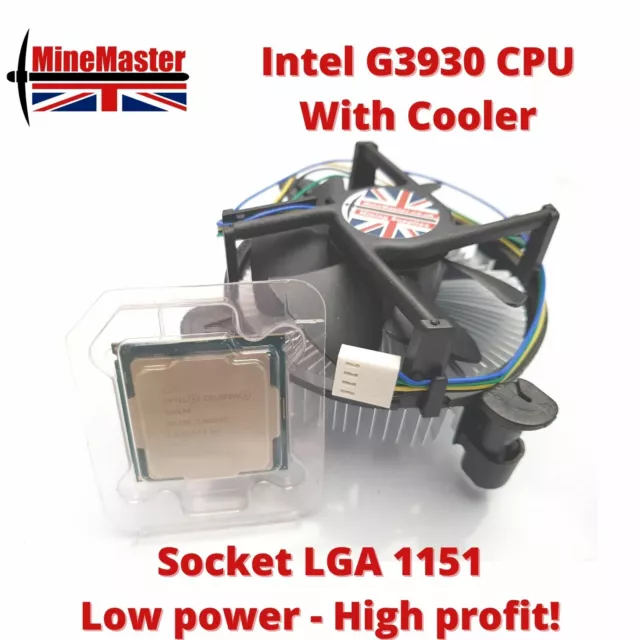Celeron lga1151 best sale
