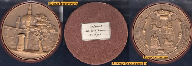 Médaille Commémorative En Bronze De 1934 - Hôpitaux De Lyon Et Neurologie Par Linossier - Thème Médecine