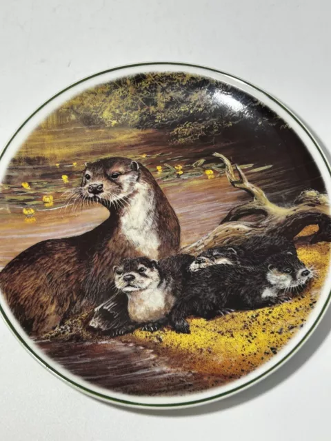 Norfolk China Norwich Otter Mother & Cubs Family Decorative Plate Display #LH