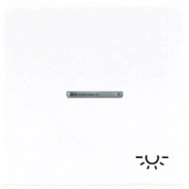 Jung simple Cache Bascule symbole éclairage blanc LS990KO5LWW