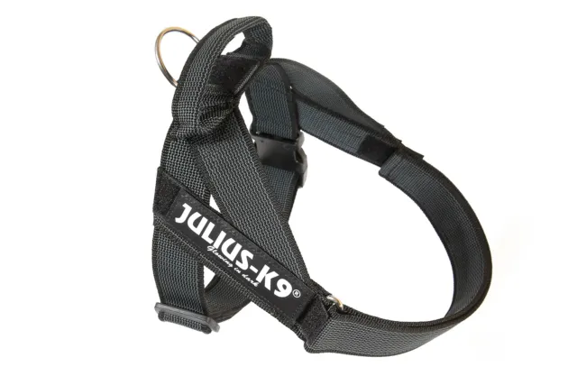 Arnés de cinturón ajustable Julius-K9 color y gris IDC® perro cachorro fuerte envío y devolución gratuitos Reino Unido 3
