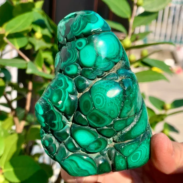 510G  Natural glossy Malachite transparent cluster rough mineral sample 2