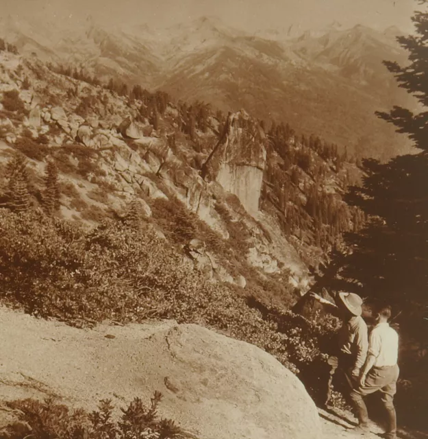 Square Top Keystone Stereoview Western Divide, Sequoia Natnl Park, CA K600 #1061