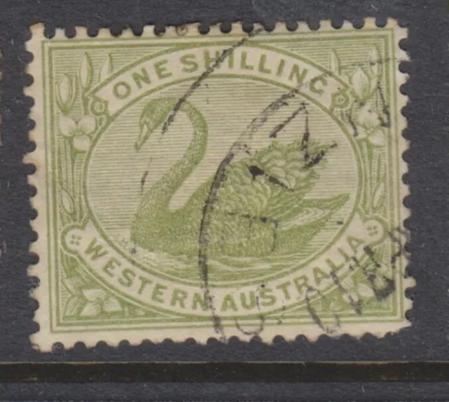 1898 - 1907 - Western Australia - 1/- Olive-Green Swan - P.14 - Sg116 - W740