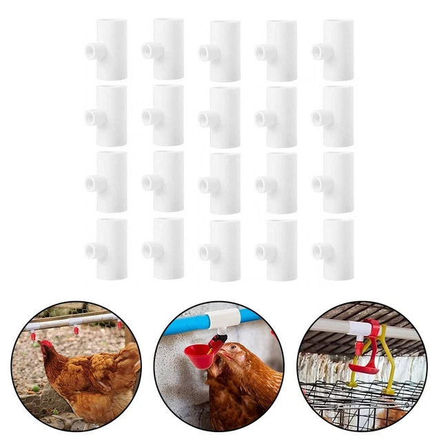 Tasses D'arrosage Automatique Pour Poulet, Volaille, Canard, Poulet, Oiseau, Dinde
