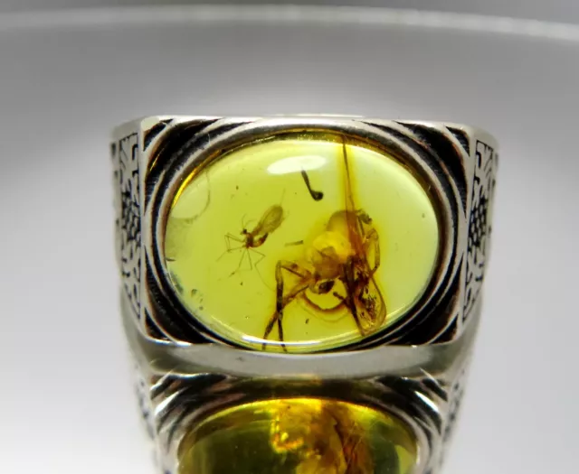 925 Sterling Silver Ring w Fossil Insects Spider Gnat inclusions in BALTIC AMBER