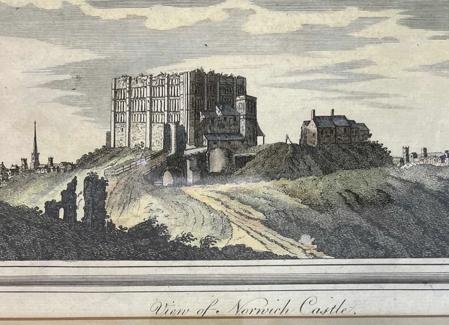 Antique Handcoloured Framed Lithograph Print South East View of Norwich Castle 2