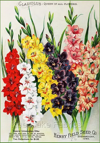 Gladiolus Vintage Seed Packet Quilt Block Multi Sizes FrEE ShiP WoRld WiDE (716B