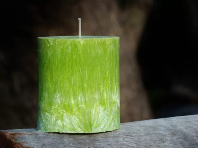 70hr BAMBOO GRASS & GREEN TEA Light Scented Premium Oval Candle HOME DEODORIZER