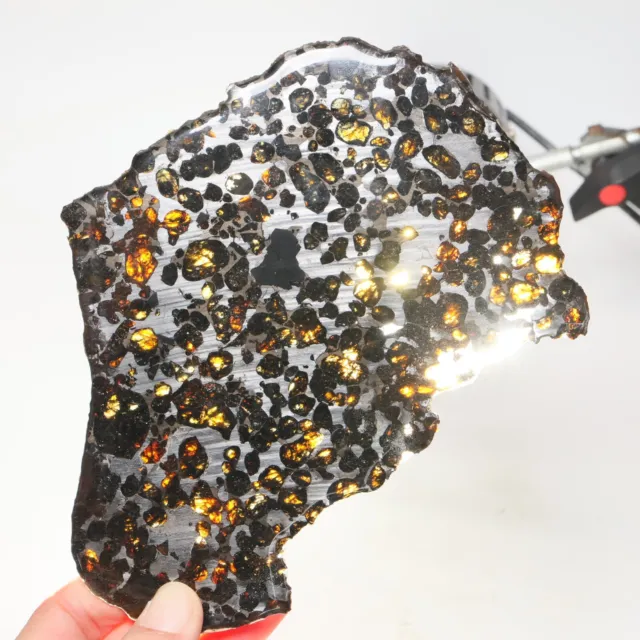 131g Beautiful SERICHO pallasite Meteorite slice - from Kenya C6999